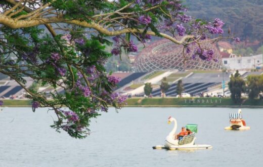 Revealing the experience of pedaling Duck Ho Xuan Huong for those who experience it for the first time