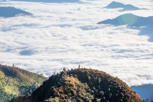 Conquer the spines of dinosaurs and the magical mossy forest on the top of Ta Xua