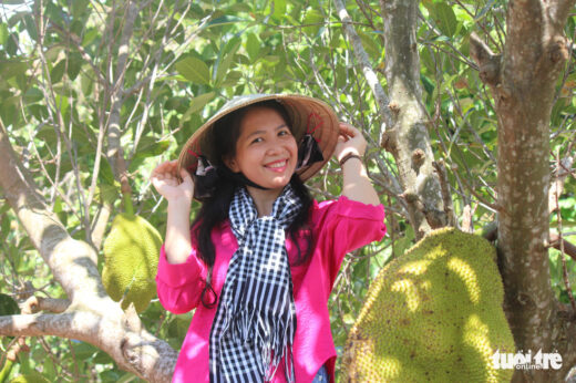 Going on holiday to Dong Ho – a saltwater lagoon with sweet fruits, dropping nets to catch fish, and watching birds