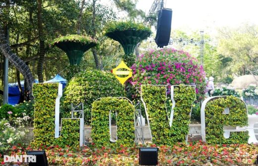 Young people enjoy “virtual life” with the flower road of love on Truong Le Peak