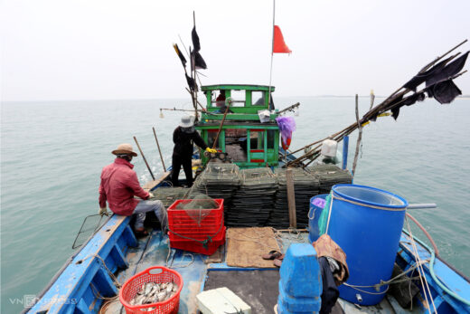 Release cages to catch crabs