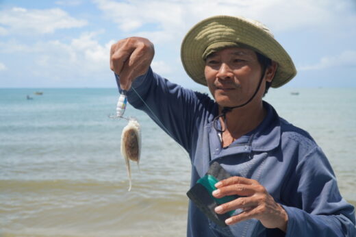 Phan Thiet in octopus fishing season