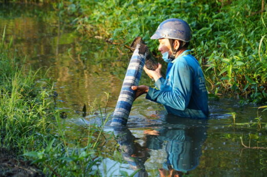 Eel trap in Dong Thap Muoi area