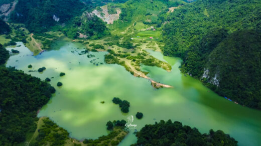 Dong Lam steppe ‘changes new clothes’ in floating season, beautiful like a fairy