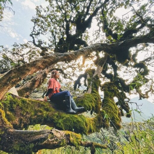 Trekking Khang Su Van Lai Chau peak, touching the highest border landmark in Vietnam