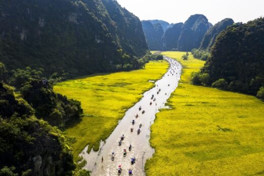 Two days visit Tam Coc – Bich Dong in the ripe rice season