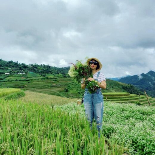 Experience going to Muong Lo Yen Bai – the second largest ‘rice bowl’ in the Northwest region