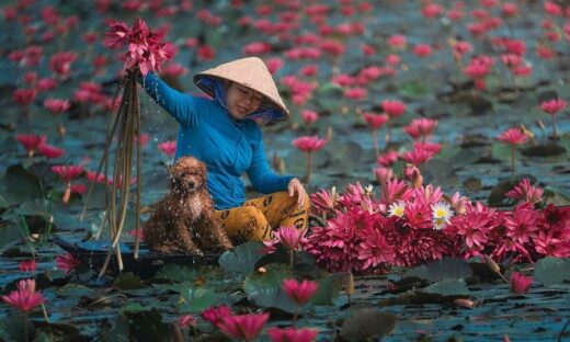 Real gets abstract as Vietnam entries impress in photo contest