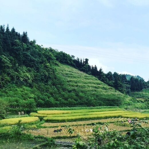 Phuong Thien Ha Giang tourism explores the beautiful scenery near the city