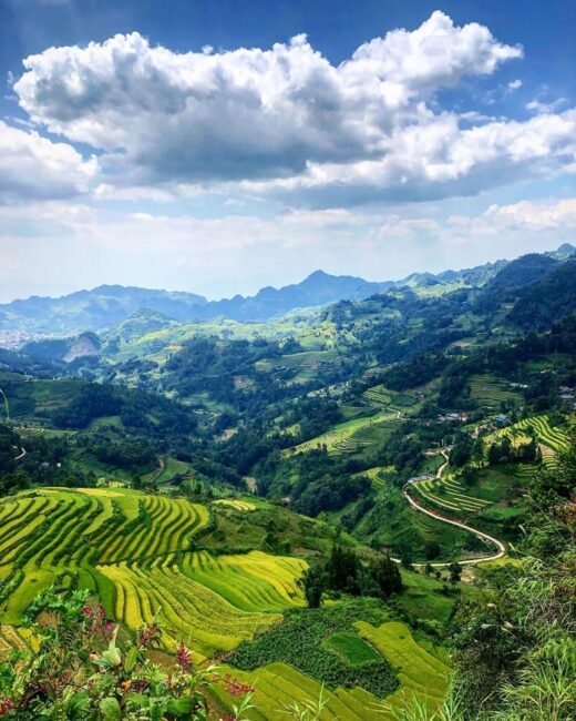 Few people know that Lung Phinh Bac Ha commune is so beautiful and has many interesting things like this!