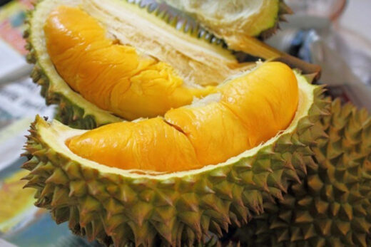 What month is the durian season? Delicious durian gardens in the West forgot the way back