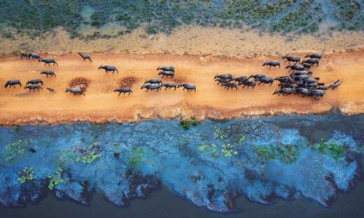 From a height, Vietnamese landscapes rise to beauteous highs