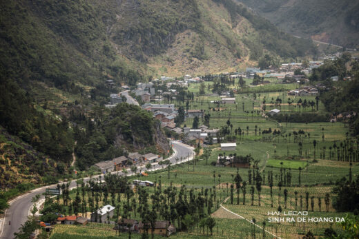 Driving on majestic roads, camping in the middle of Ha Giang mountains and rivers