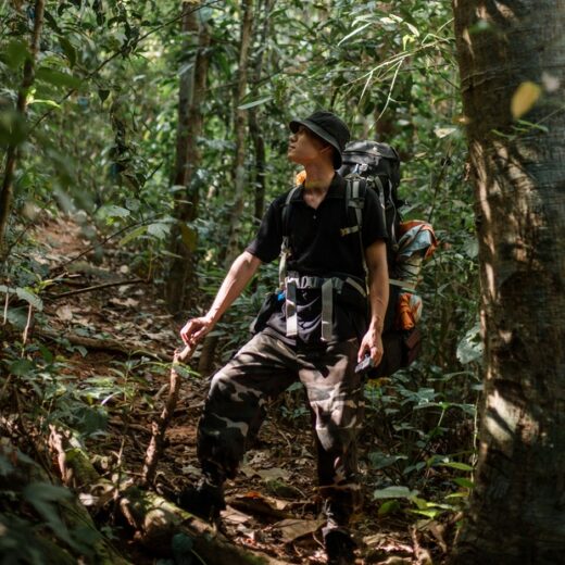 The boy left the city to go to the forest, do a healing tour, immersing himself in nature