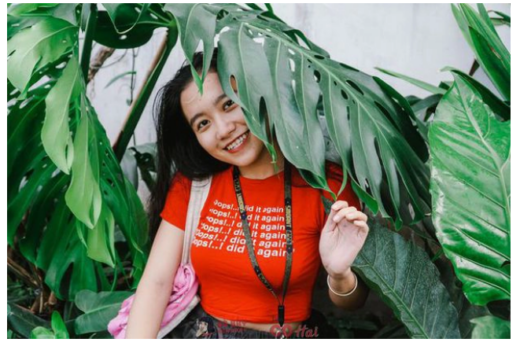 Ben Tre girl owned 2 bonsai shops when she was 22 years old, earning admirable income