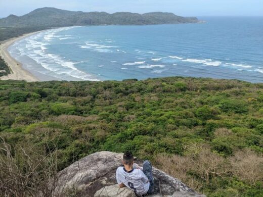 Unique tourism in Con Dao during the sea turtle spawning season