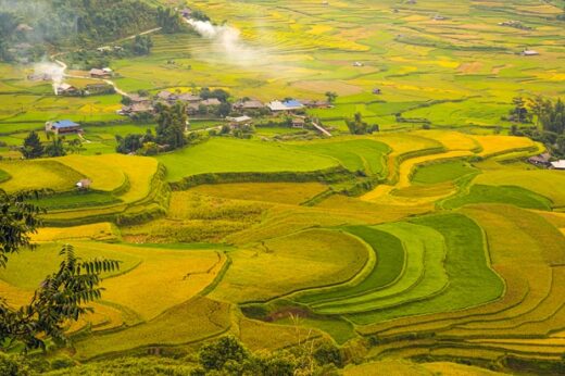 Photo: National Day holiday on September 2, go to Yen Bai to watch paragliders fly over golden terraced fields