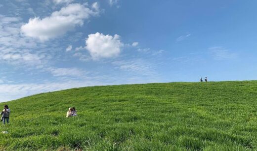 Enjoying a long vacation, young people invite each other to “hunt photos” in the green meadow in the heart of Moc Chau