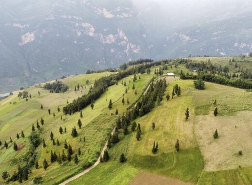 The “green steppe regions” in Vietnam make visitors nostalgic at first sight