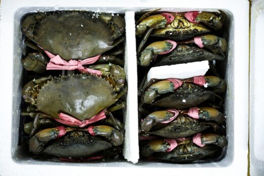 Ca Mau crab soup shop sells 1,000 bowls per day, with bowls up to 14$