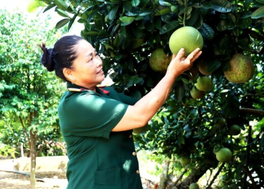 Upland farmers change their lives thanks to the integrated farming model