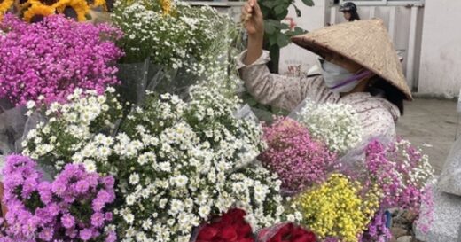 Roaming around Hanoi, carrying flowers selling tens of millions of dong every day on the occasion of October 20