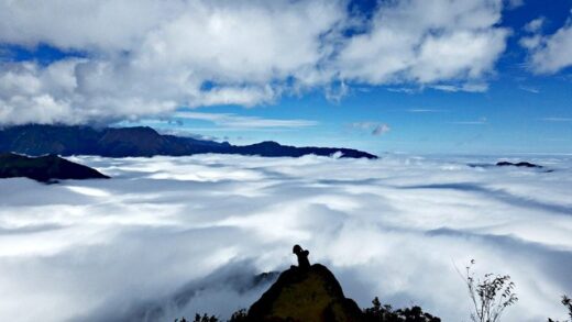 Planning to ‘hunt clouds’ in Ta Xua at a cost of only about 50$/person