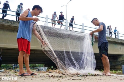 After the storm, people in Da Nang go to the sea to catch fish… fresh water, make a lot of money