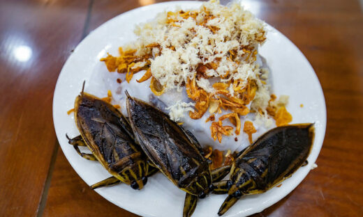 Hanoi eatery stands out with fragrant, fatty waterbug sauce