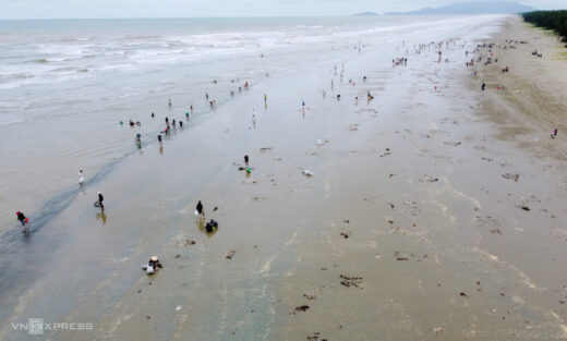 Rushing to the sea to pick up shells