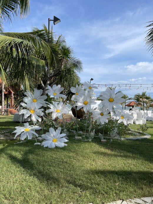 Giant flowers cost 250$/plant is hot, and in the “season” you have to stay up all night to make the order