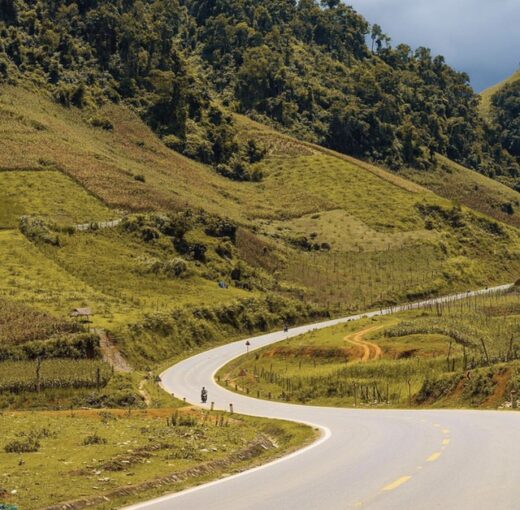 The scenery of Moc Chau in the early winter days makes the virtual life enthusiasts unable to miss