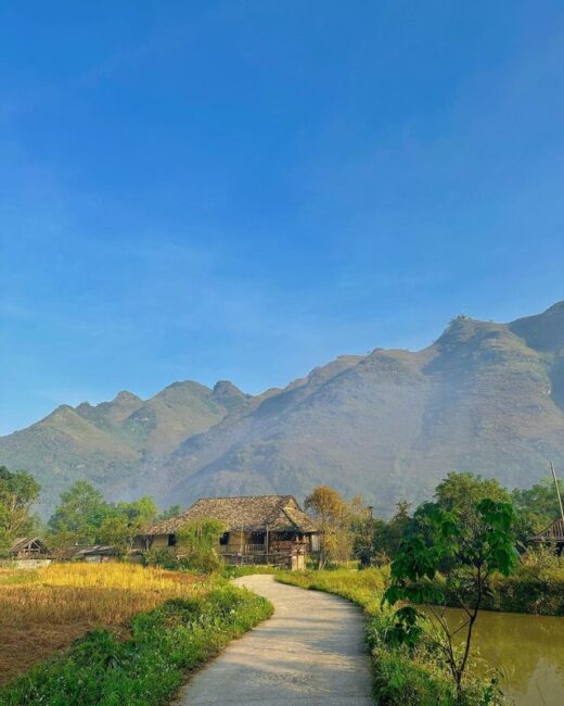 Ha Giang is in the most beautiful season, visit the beautiful and peaceful ancient villages