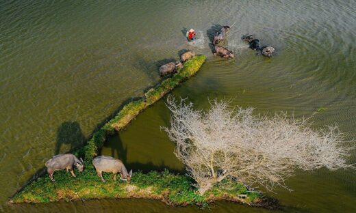 Mekong Delta province exudes charm amid annual flooding season