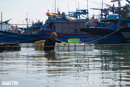 Tie 10kg of iron chains to the body, dive to the bottom of the river to hunt for mussels