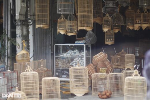 The village “builds houses” for birds, produces 3000 pieces/day, and workers can’t finish their work