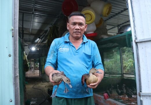 The Cham man, raising children to eat grass, and sleep on the bank earns tens of thousands of dollars