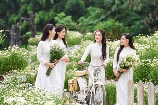 Ha Thanh girls gracefully show off their colors with daisies at the beginning of the season