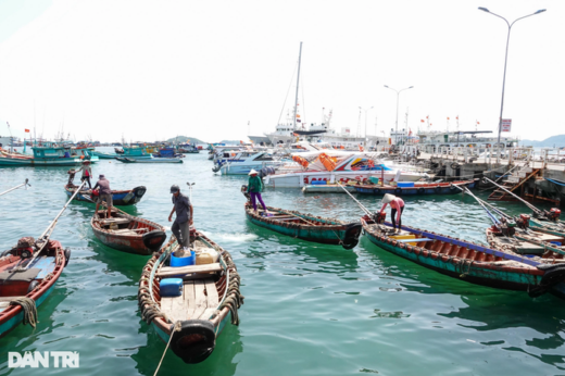 The “pink balls” make millions by running boats on the sea