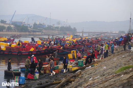 Going one night, Nghe An fishermen earned thousands of dollars