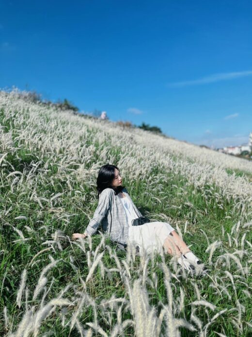 Going to Long Bien dike to take pictures in the middle of thousands of reed grass