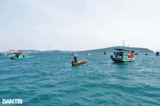 The secret to hunting unique and strange squid is which squid sticks to the squid of Phu Quoc fisherman