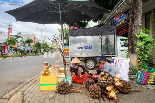 Western couple selling strange coconut dishes, attracting customers