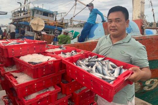 The sea trip is only once every 10 years, and fishermen “save” 2.5 billion VND