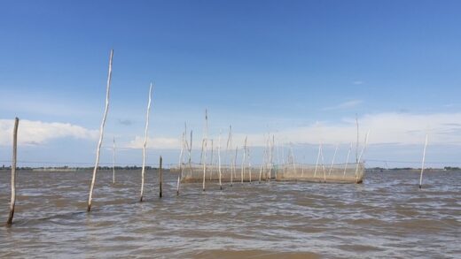 Floods overflow the fields, and people head to the water source in the season of shoveling eels and catching field fish