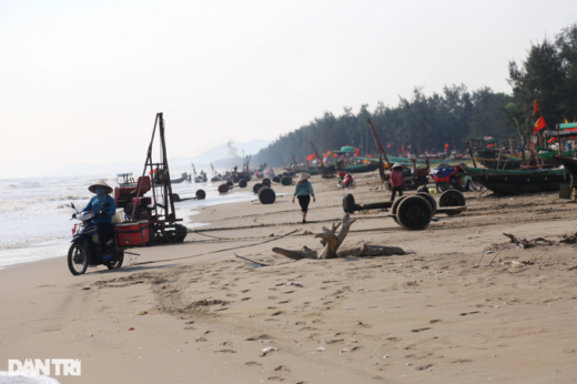 Hand-picked high-class specialties, fishermen make thousands of dollars every day