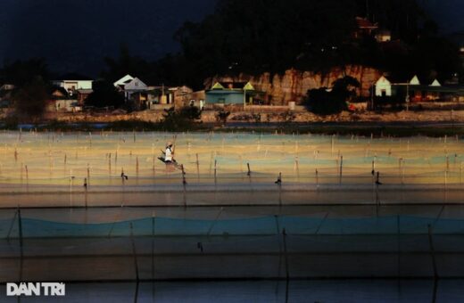 Farmers fence their fields, red-eyed looking at the moon, waiting for the land to “grow hair”