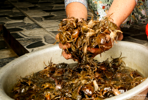 The ‘hunger relief’ dish once in Nghe An village became a specialty that could not be sold in time