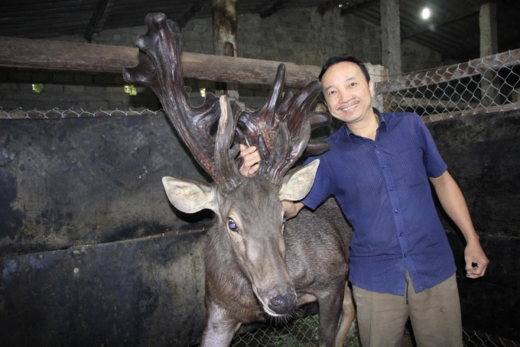 The farmer sells a pair of super giant deer velvet, counting hundreds of millions of “fresh” money