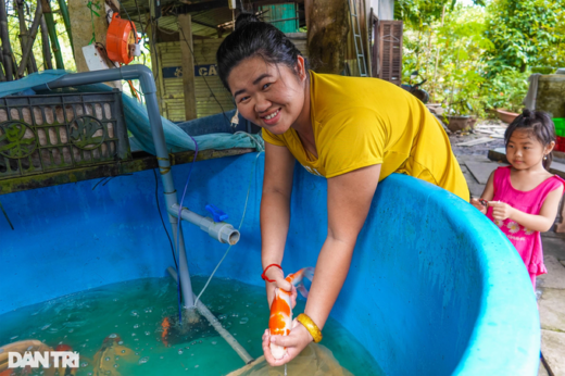 Bachelors quit their jobs to raise fish “giants” and earn hundreds of millions of dong